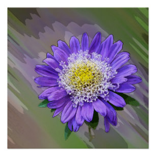 Blauviolett-Blume Poster
