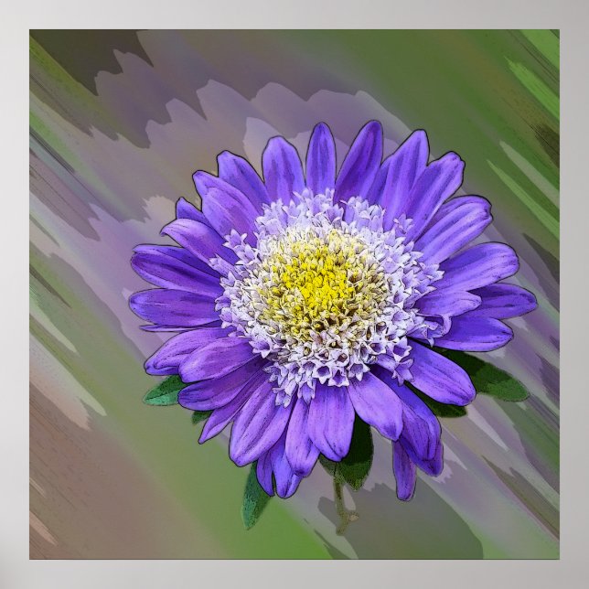 Blauviolett-Blume Poster (Vorne)