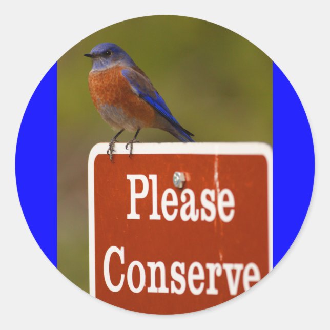 Blauvogel Runder Aufkleber (Vorderseite)