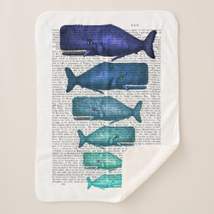 Blauwal-Familie Sherpadecke