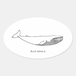 Blauwal-Illustration (line art) Ovaler Aufkleber