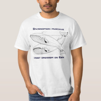 Blauwal-T-Shirt T-Shirt