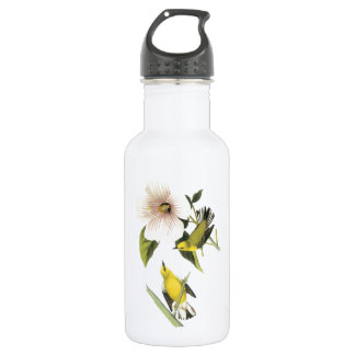 Blauwinged Warbler von Audubon Trinkflasche