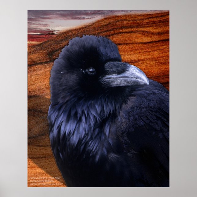 Blazen Raven Poster (Vorne)