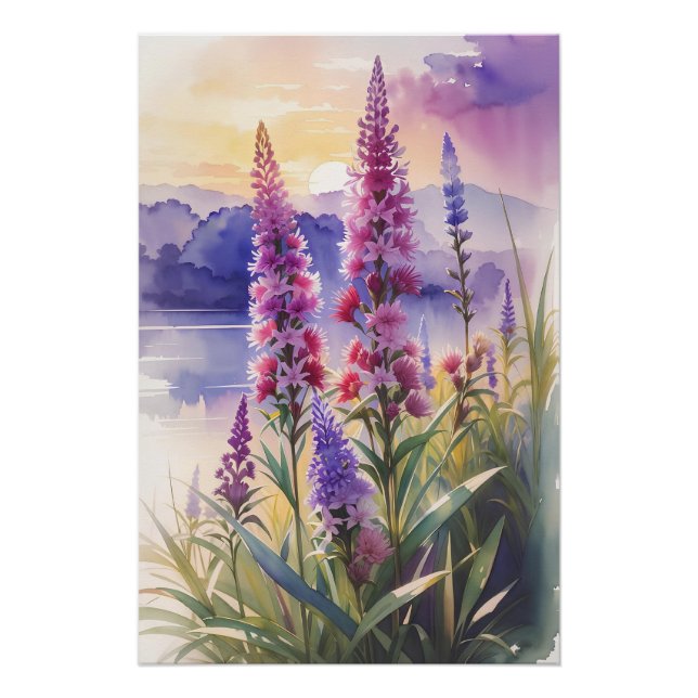 Blazing Star Beauty Poster (Vorderseite)