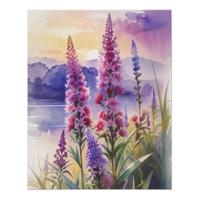 Blazing Star Beauty Poster (Vorderseite)