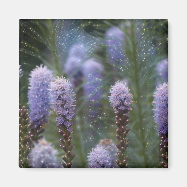 Blazing Star Blume Magnet (Vorne)