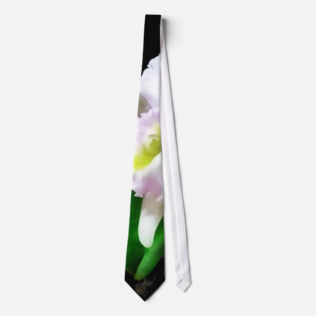BLC Mary Ellen Underwood Krull-Smith Krawatte (Vorderseite)