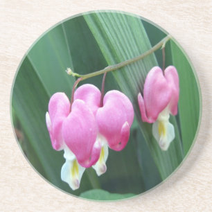 Bleeding Hearts Coaster Untersetzer