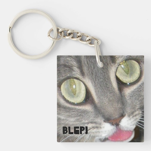 Blei Katzenpfropfkleber Schlüsselanhänger (Vorderseite)