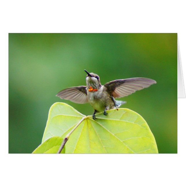 Bleib einfach vorbei! (Vorderseite (Horizontal))