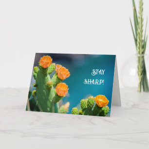 Bleib scharfsinnig - Helle Kaktusblüten-Foto-Gebur Karte