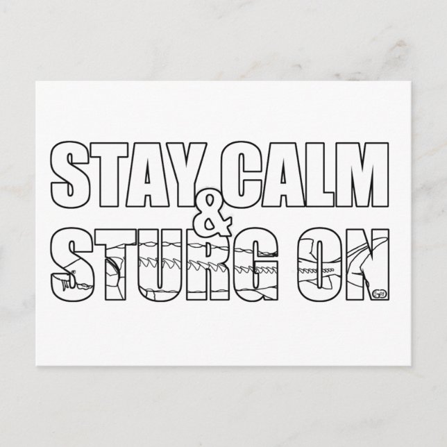 Bleibe Calm & Sturg On -Lake Sturg - acigifts@yaho Postkarte (Vorderseite)