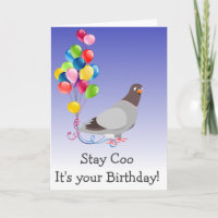 Bleibe Coo Es ist dein Geburtstags-Taubenvogel