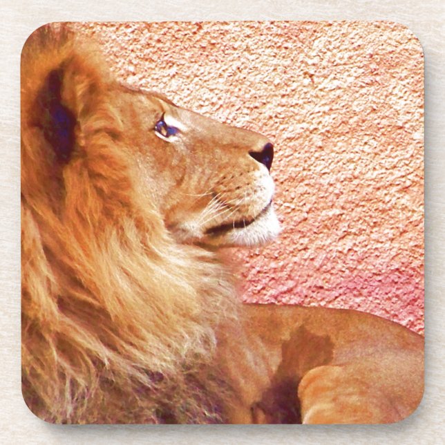 Bleibe Focused_ Untersetzer (Vorderseite)
