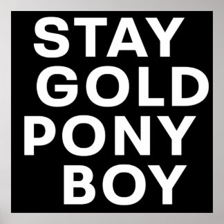 BLEIBE GOLD PONY BOY POSTER