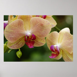 Bleibe mal zusammen poster