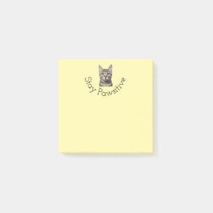 Bleibe Pawsitive Cat Post Hinweise Post-it Klebezettel