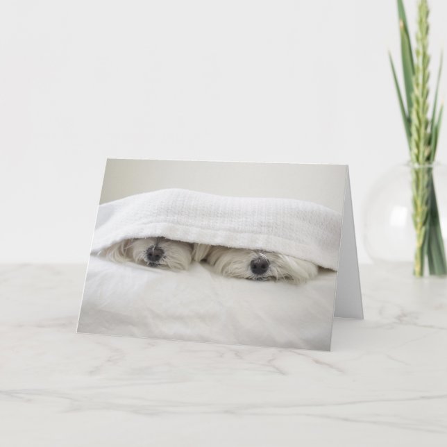 Bleibe Sie im Bett Karte (Vorderseite)