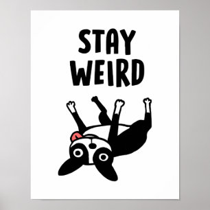 Bleibe Weird Boston Terrier Funny Dog Poster