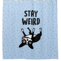 Bleibe Weird Funny Boston Terrier Dog