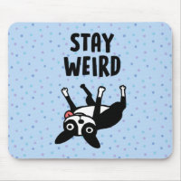 Bleibe Weird Funny Boston Terrier Dog