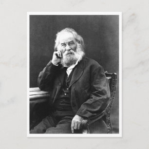 Bleiben Sie "Cool und zusammengestellt" Motivieren Postkarte