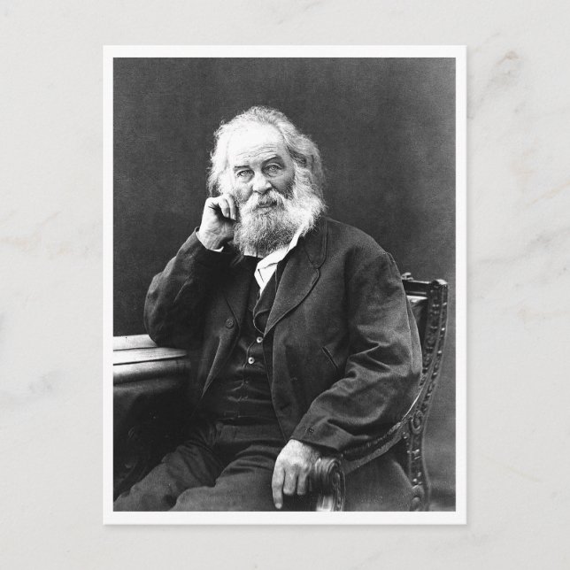 Bleiben Sie "Cool und zusammengestellt" Motivieren Postkarte (Vorderseite)