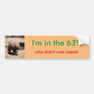 Bleiben Sie in EU-Autoaufkleber Autoaufkleber