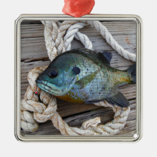 Bleichfische auf Dock und Seil Silbernes Ornament