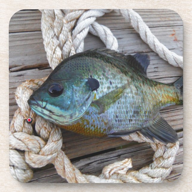 Bleichfische auf Dock und Seil Untersetzer (Vorderseite)