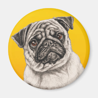 Bleistift-Mops Magnet