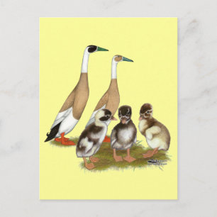 Bleistift Runner-Entenfamilie Postkarte