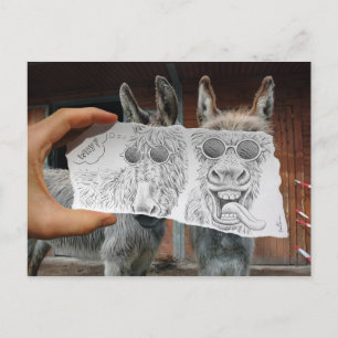 Bleistift Vs Kamera - Crazy Donkeys Postkarte