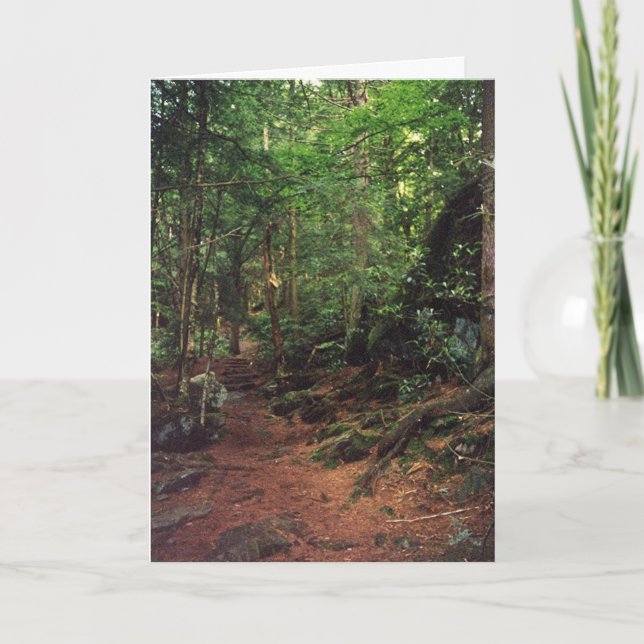 Blende Karte (Vorderseite)