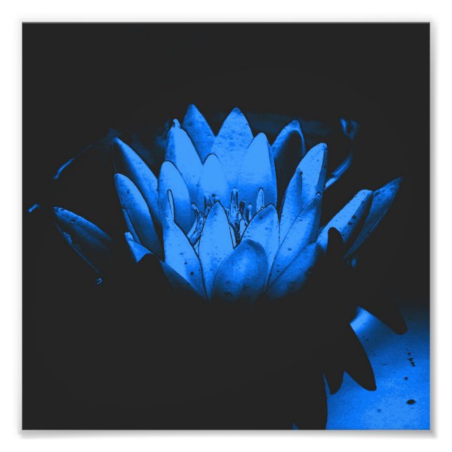 Blendenblauer Lippenlotus Blume Abstrakt 8x8 Fotodruck (Vorne)