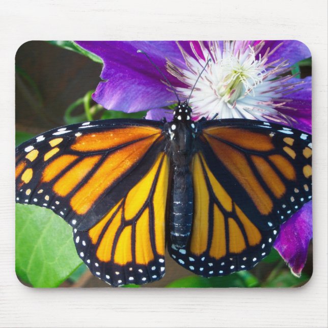 Blendungs-Schmetterlings-Mausunterlage Mousepad (Vorne)