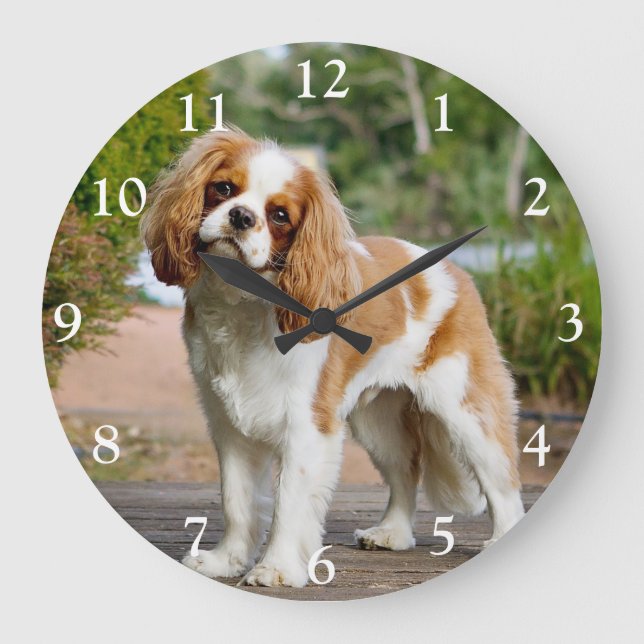 Blenheim Cavalier King Charles Spaniel Dog Große Wanduhr (Vorderseite)