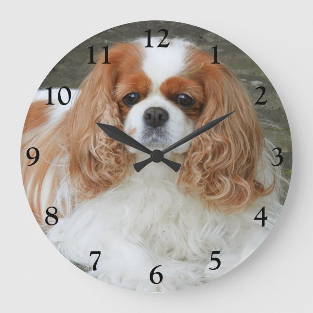 Blenheim Cavalier King Charles Spaniel Dog Große Wanduhr (Vorderseite)