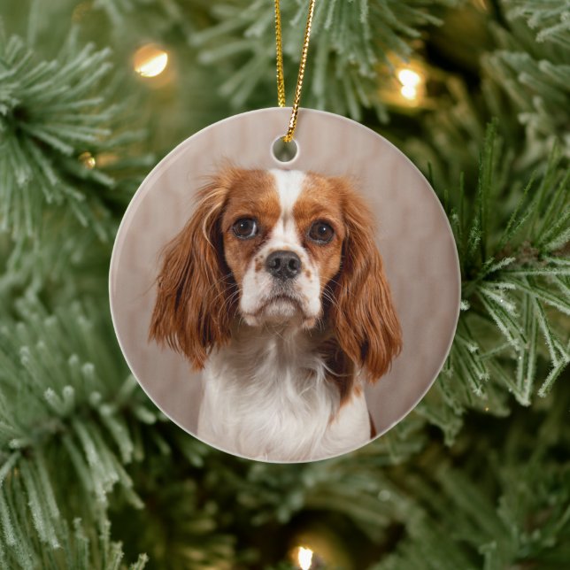 Blenheim Cavalier King Charles Spaniel Dog Keramik Ornament (Baum)