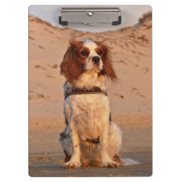 Blenheim Cavalier King Charles Spaniel Dog Klemmbrett