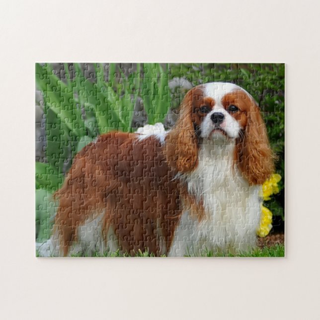 Blenheim Cavalier King Charles Spaniel Dog Puzzle (Horizontal)