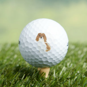 Blenheim Cavalier King Charles Spaniel Golfball