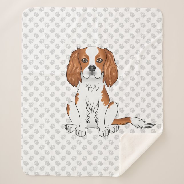 Blenheim Cavalier King Charles Spaniel & Paws Sherpadecke (Vorderseite)