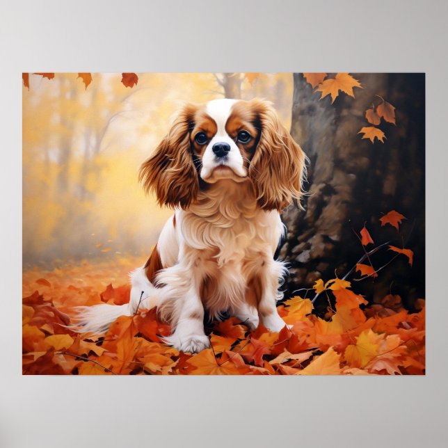 Blenheim Cavalier King Charles Spaniel Poster (Vorne)