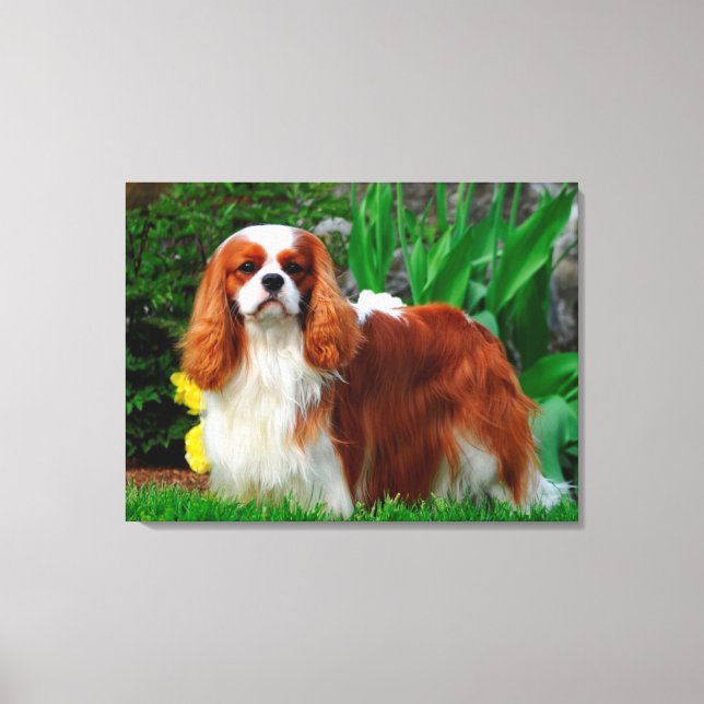 Blenheim Cavalier King Charles Spaniel Puppy Dog Leinwanddruck (Vorderseite)