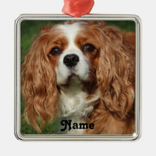 Blenheim Cavalier King Charles Spaniel Puppy Dog Ornament Aus Metall