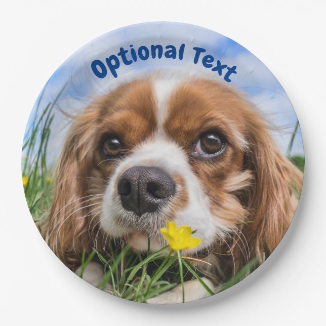 Blenheim Cavalier King Charles Spaniel Puppy Dog Pappteller (Vorderseite)