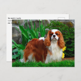 Blenheim Cavalier King Charles Spaniel Puppy Dog Postkarte