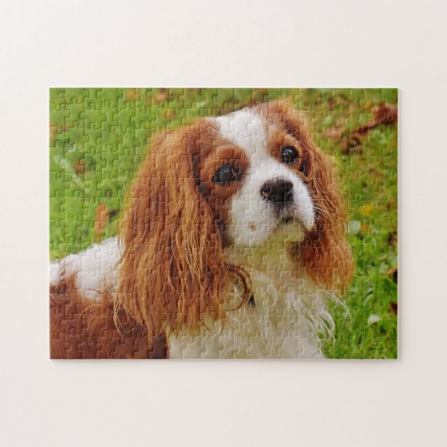 Blenheim Cavalier King Charles Spaniel Puppy Dog Puzzle (Horizontal)